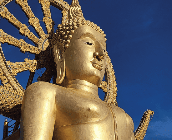 villa-sonlana-location-contant-3